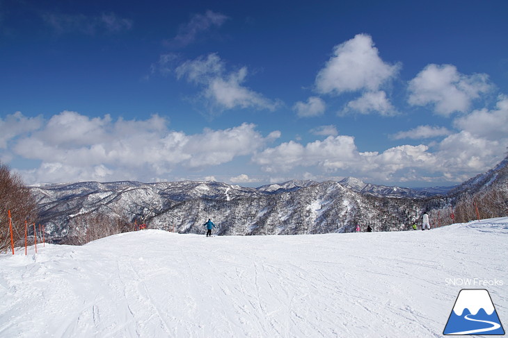 札幌国際スキー場 Welcome back POWDER SNOW !! ～パウダースノー復活～